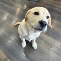 Profile photo of Bonnie
